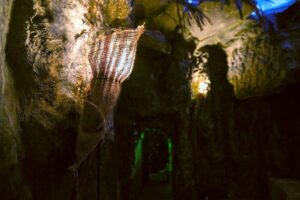 Σπηλιά στο The Survivor Escape Room