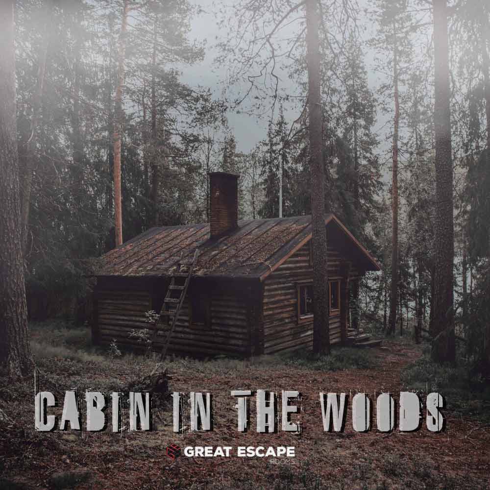 Cabin in The Woods